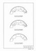 NPS S350I16 Brake Shoe Set